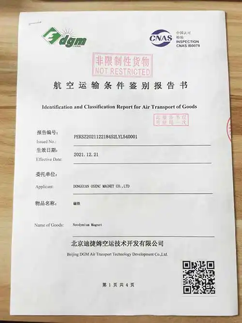 dgm / IATA Report
