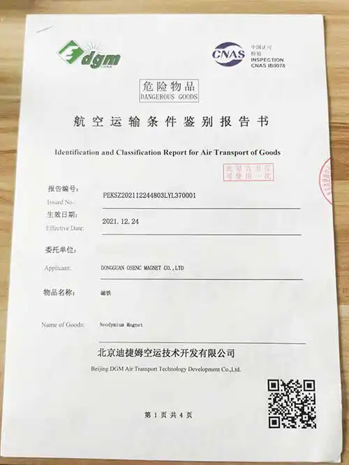 dgm / IATA Report