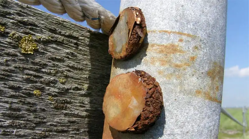 Do Neodymium Magnets Rust